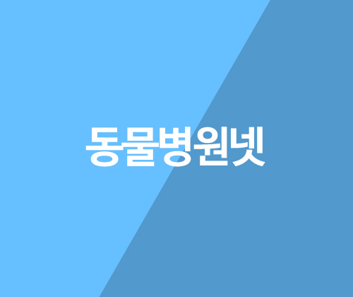 동물병원넷 포트폴리오 이미지